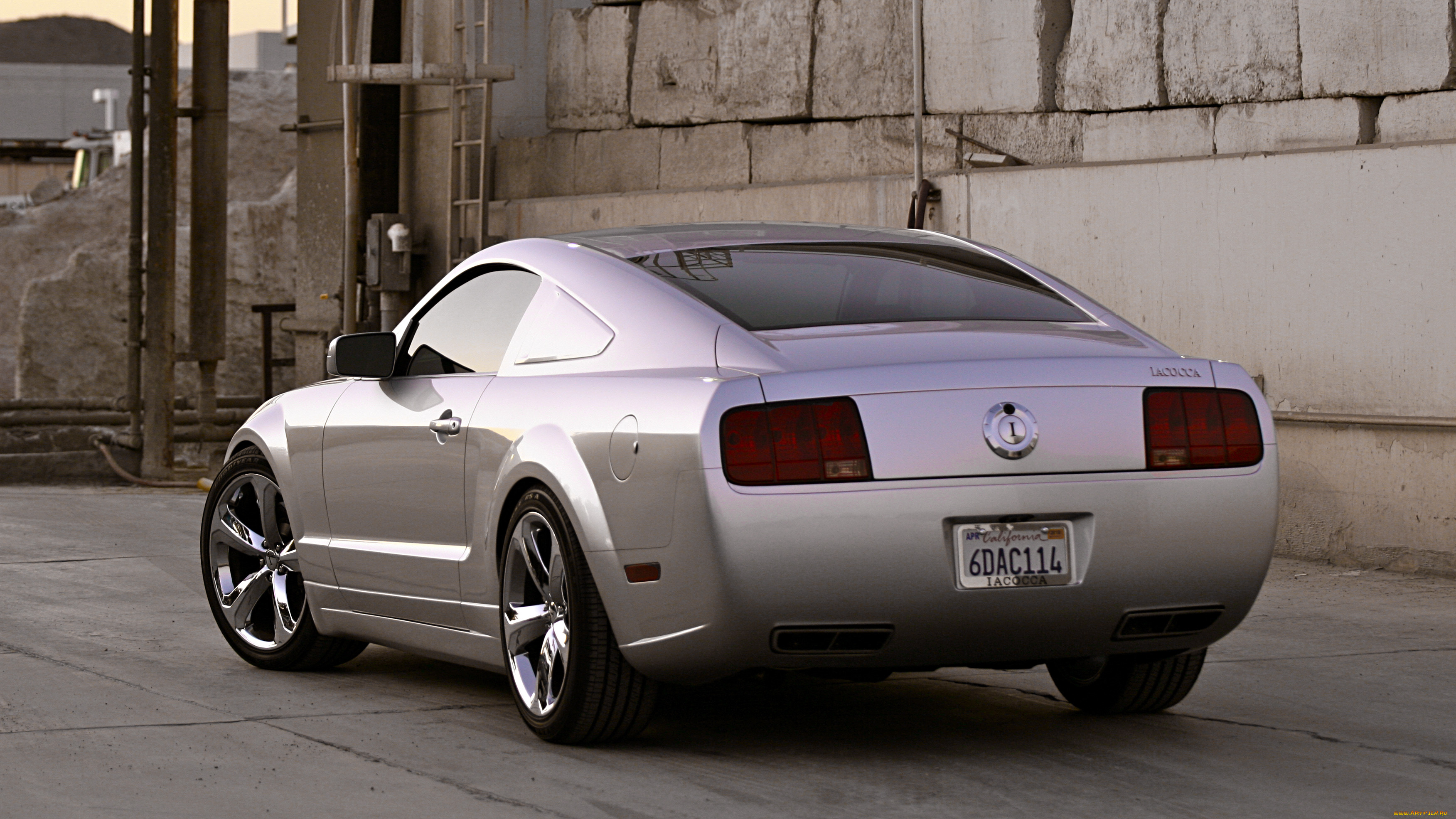 , mustang